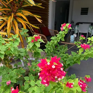 Le Tropical 1 Ou 2 Chambres Appartement Les Anses-d'Arlet
